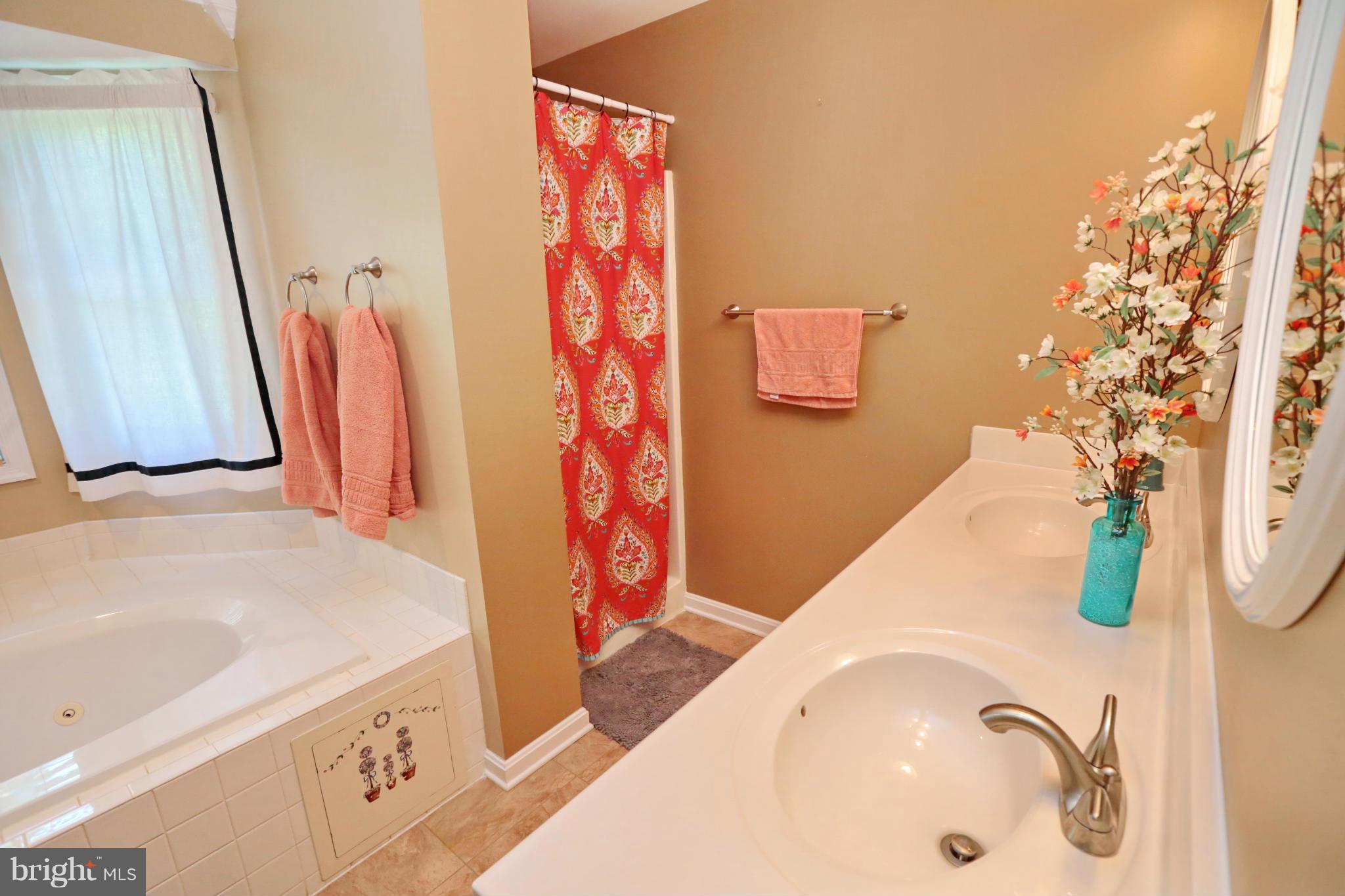6865 Hawkins Gate Road La Plata, MD 20646 - Photo 17 of 30 Separate Shower & Dual Sinks
