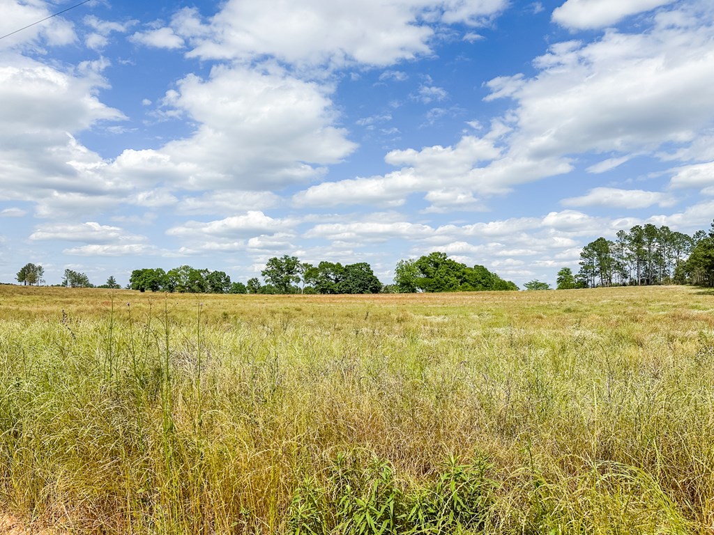 0 Travis Wise Road Samson, AL 36477 - Photo 14 of 21
