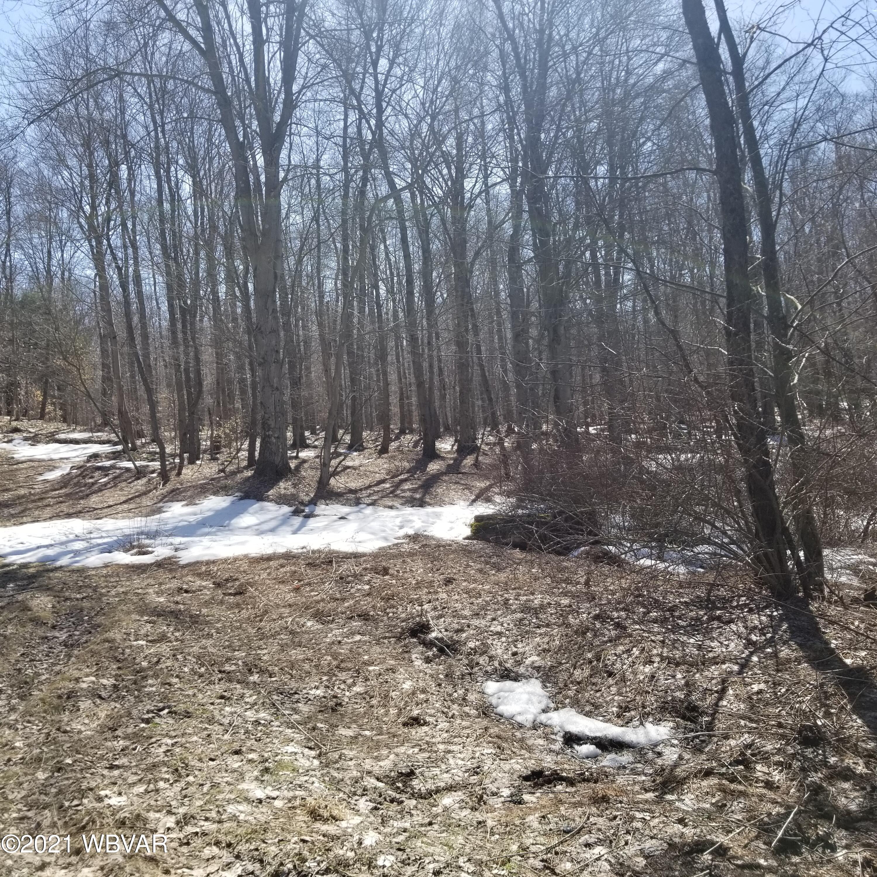 Old Bernice Road, Unit 8 Mildred, PA 18632 - Photo 3 of 10 Gallery Image 3