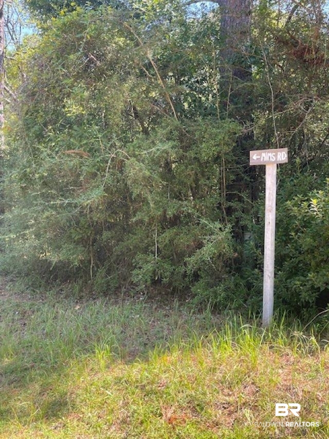 0 Mims Road Chunchula, AL 36521 - Photo 2 of 5