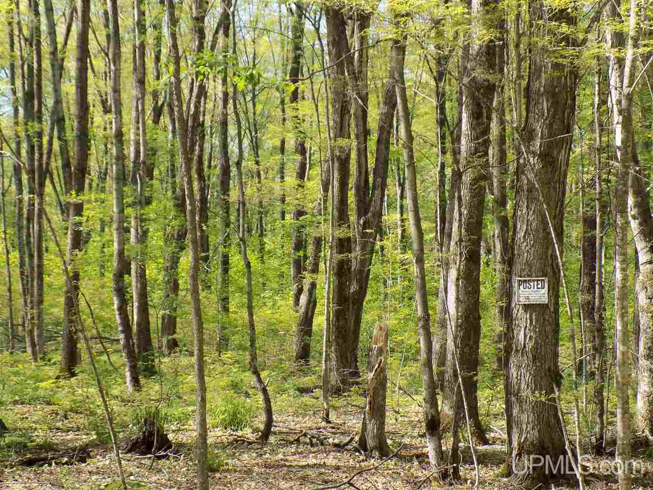 Tbd 160 Acres Camp 23 Road Gulliver, MI 49840 - Photo 15 of 48
