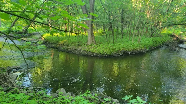 $2,700 | 14581 Natchez Circle, Savage, MN 55378