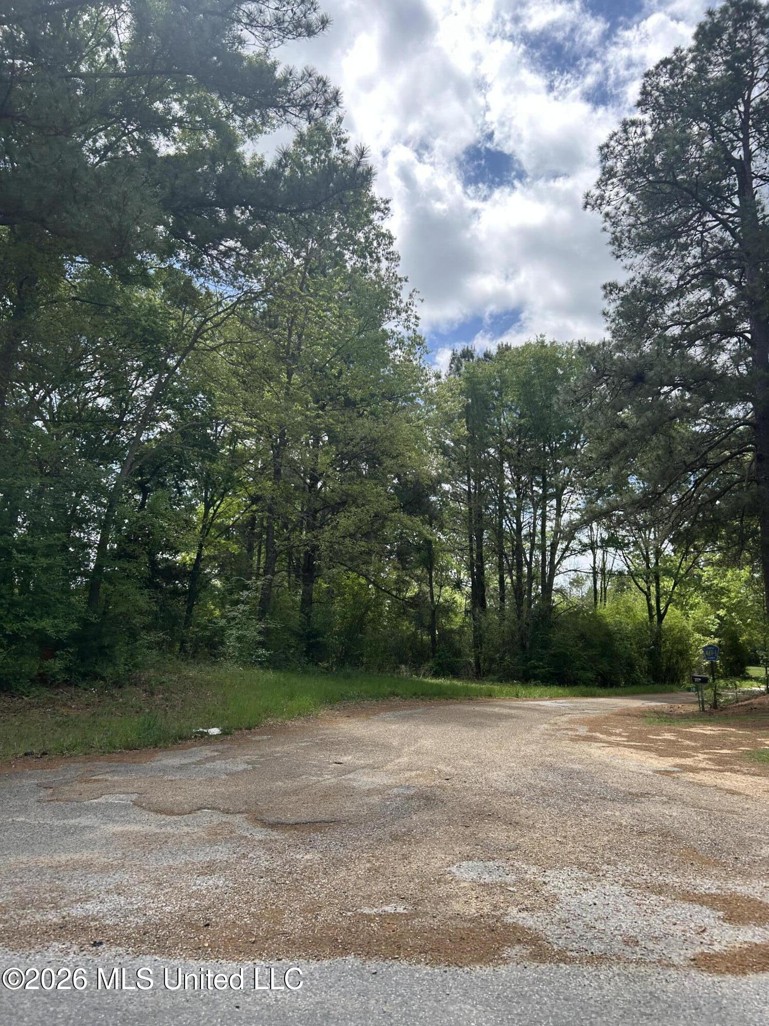 563 Smith Co Road Pulaski, MS 39152 - Photo 3 of 4 IMG_3559