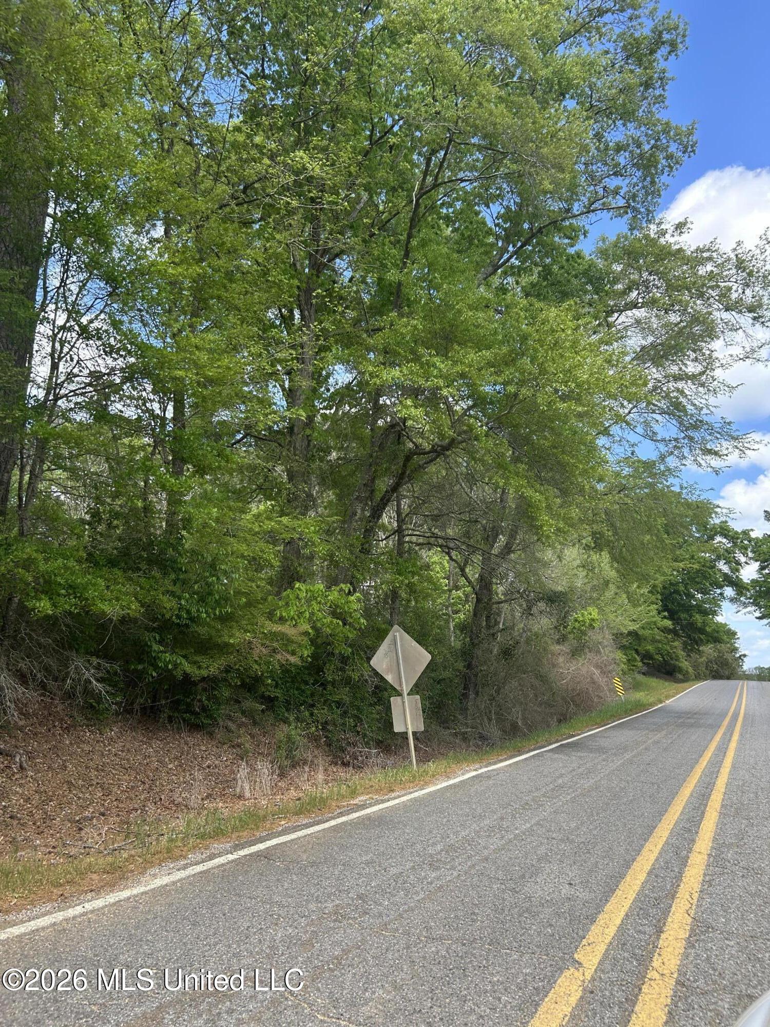 563 Smith Co Road Pulaski, MS 39152 - Photo 4 of 4 IMG_3557
