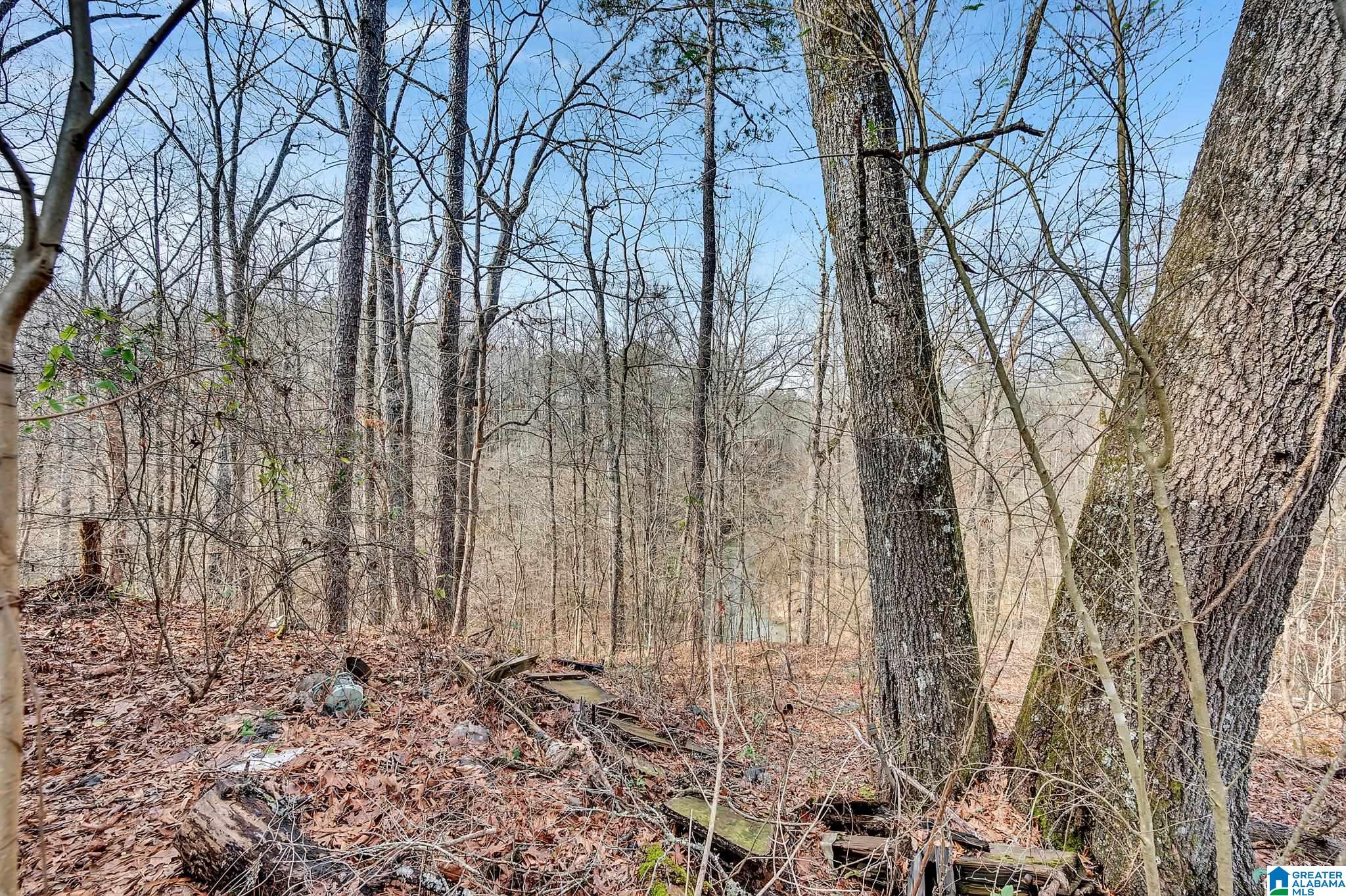 4981 Snowville Brent Road Dora, AL 35062 - Photo 21 of 36 Gallery Image 21