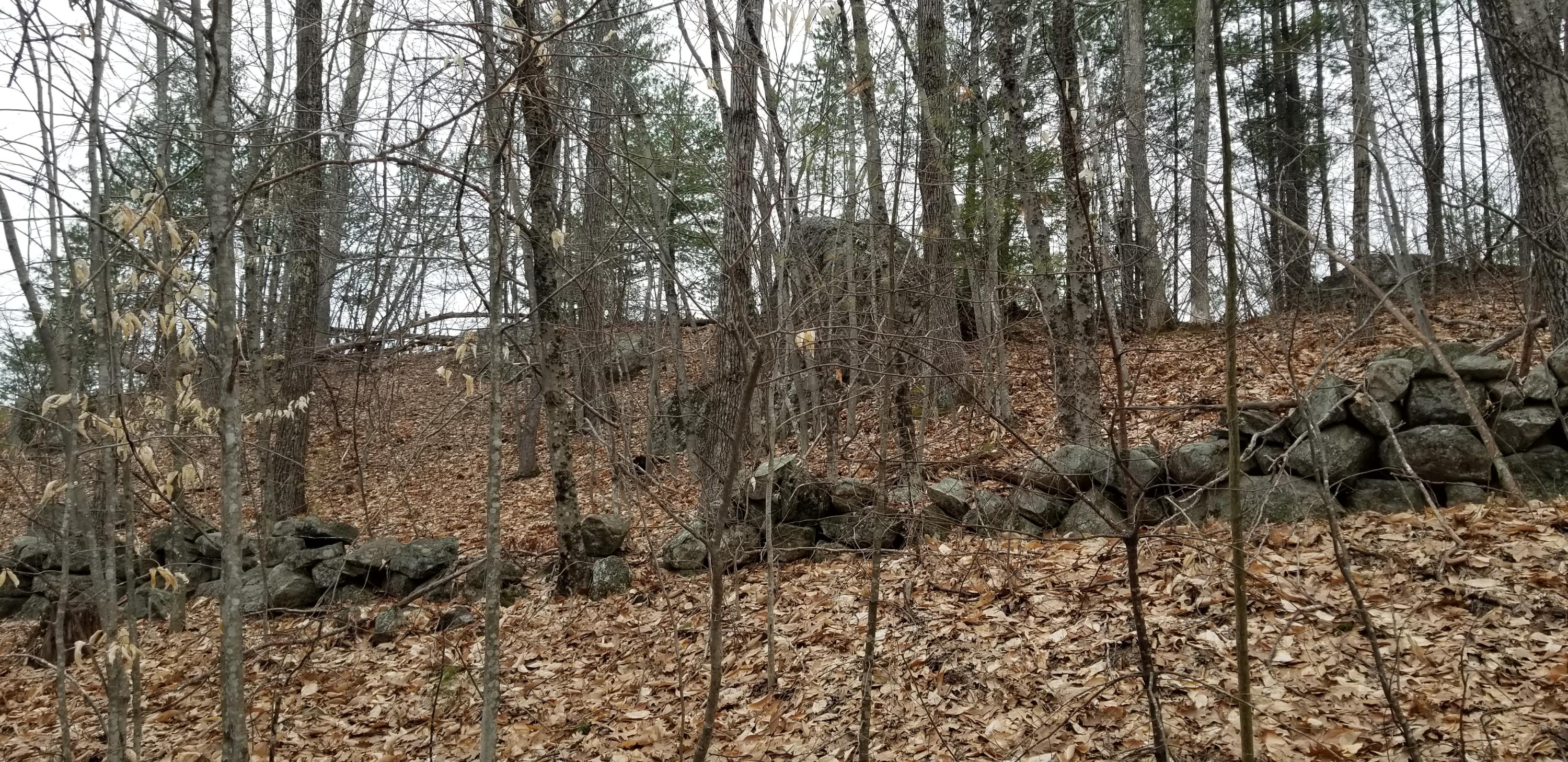 0 Cross Road East Waterboro, ME 04030 - Photo 9 of 12 20190418_162720