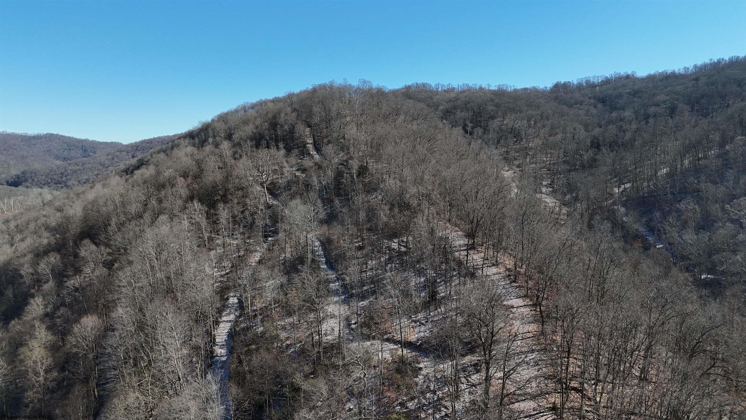 Tbd Lantz Ridge Road Rowlesburg, WV 26425 - Photo 8 of 23 Gallery Image 8