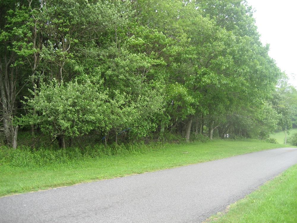 Tbd Slatemont Road Southwest Meadows Of Dan, VA 24120 - Photo 1 of 4 Gallery Image 1