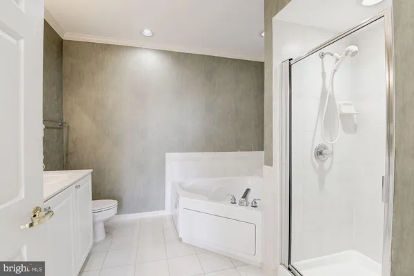 a bathroom with a bathtub and a toilet