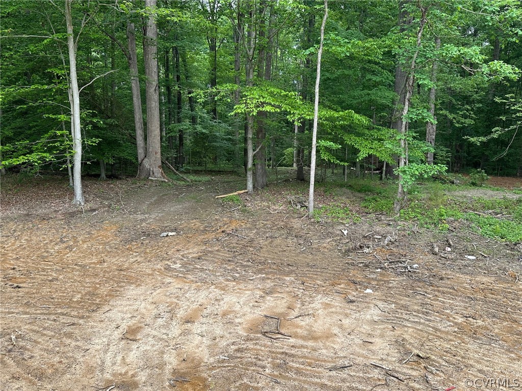 1460 Manfield Road Aylett, VA 23009 - Photo 6 of 7 Gallery Image 6