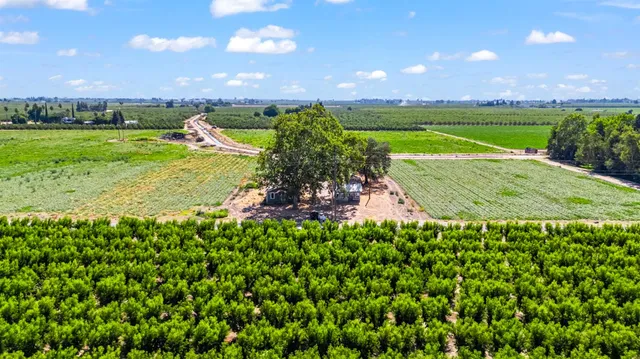 a view of a garden with an ocean