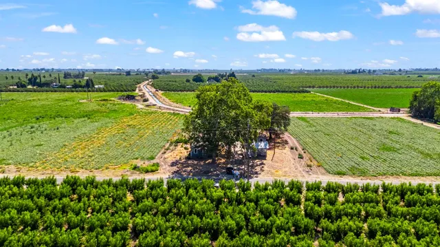 a view of a big yard with plants and large trees
