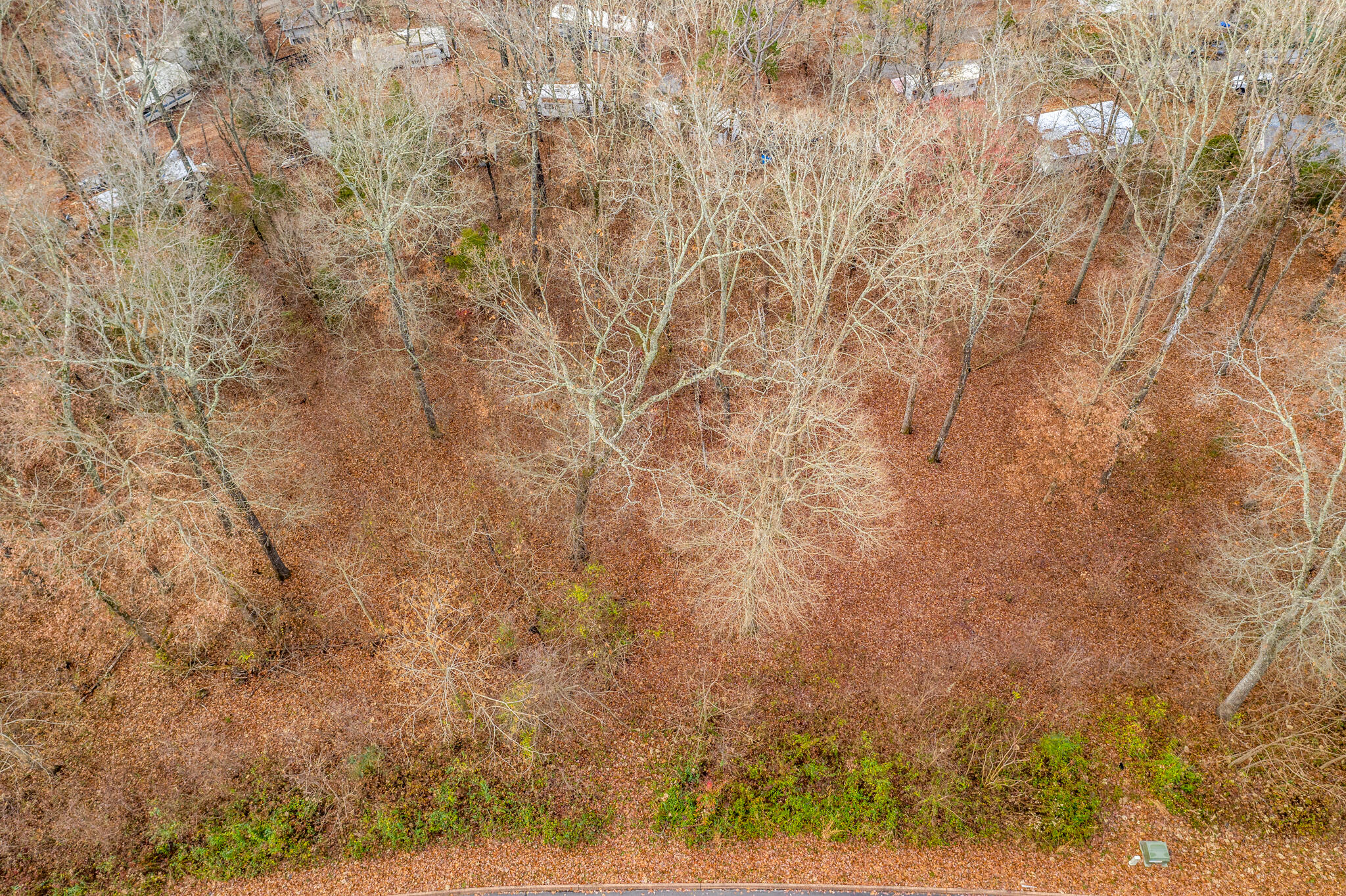 Lot 24 Aidans Trail, Unit 24 Rutledge, TN 37861 - Photo 2 of 22 2