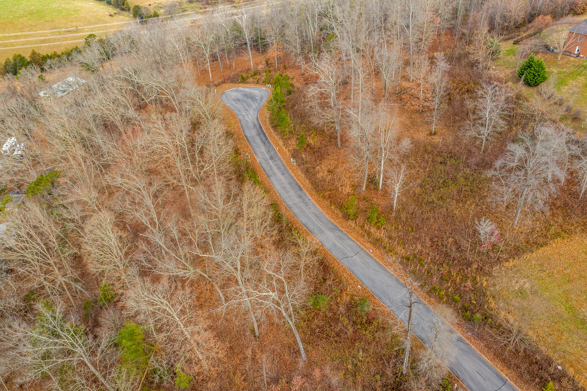 Lot 24 Aidans Trail, Unit 24 Rutledge, TN 37861 - Photo 6 of 22 6