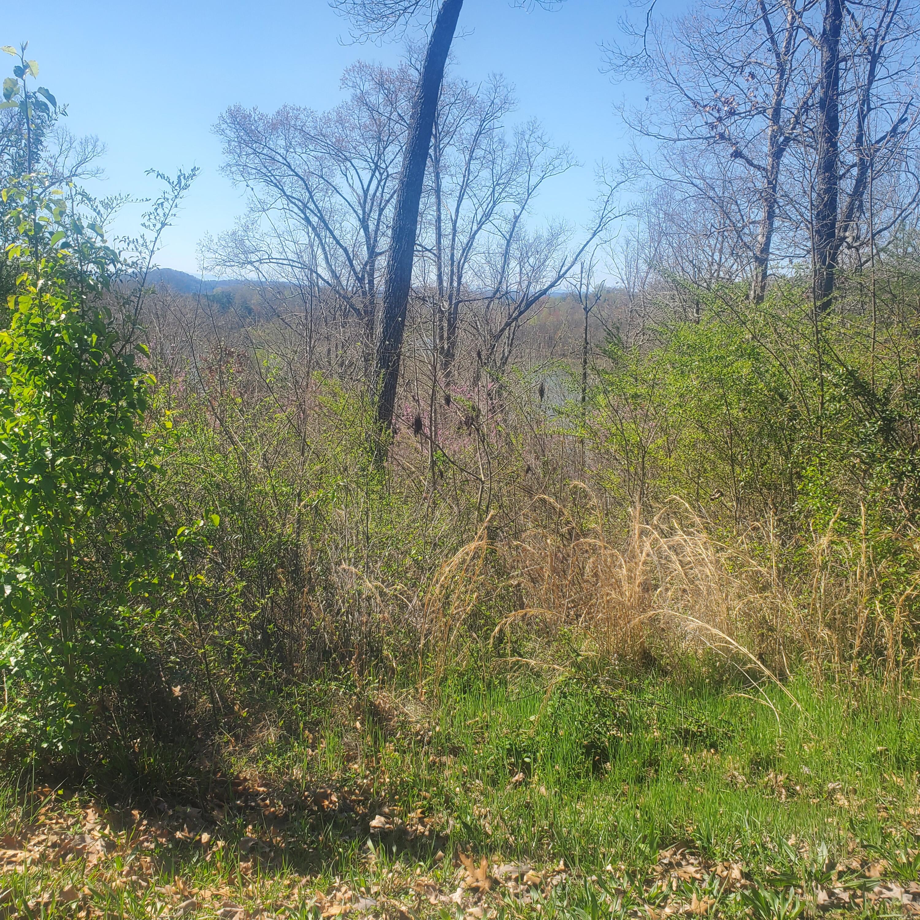 Lot 24 Aidans Trail, Unit 24 Rutledge, TN 37861 - Photo 7 of 22 7