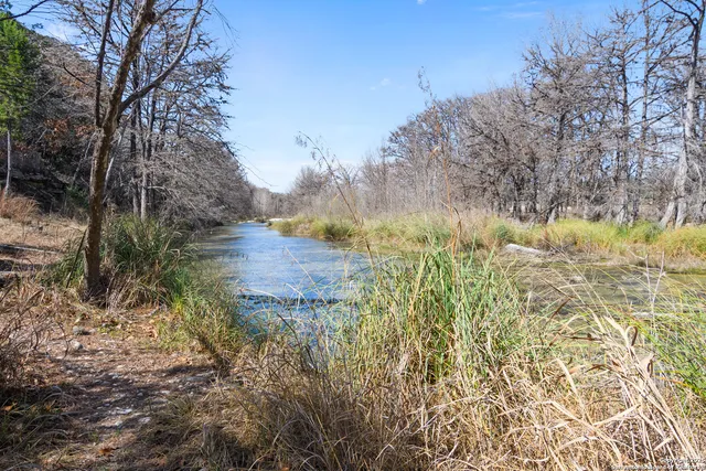 a view of a house with backyard and trees