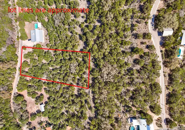 a close up of a plant