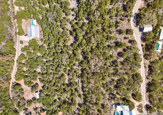 a close up of a plant