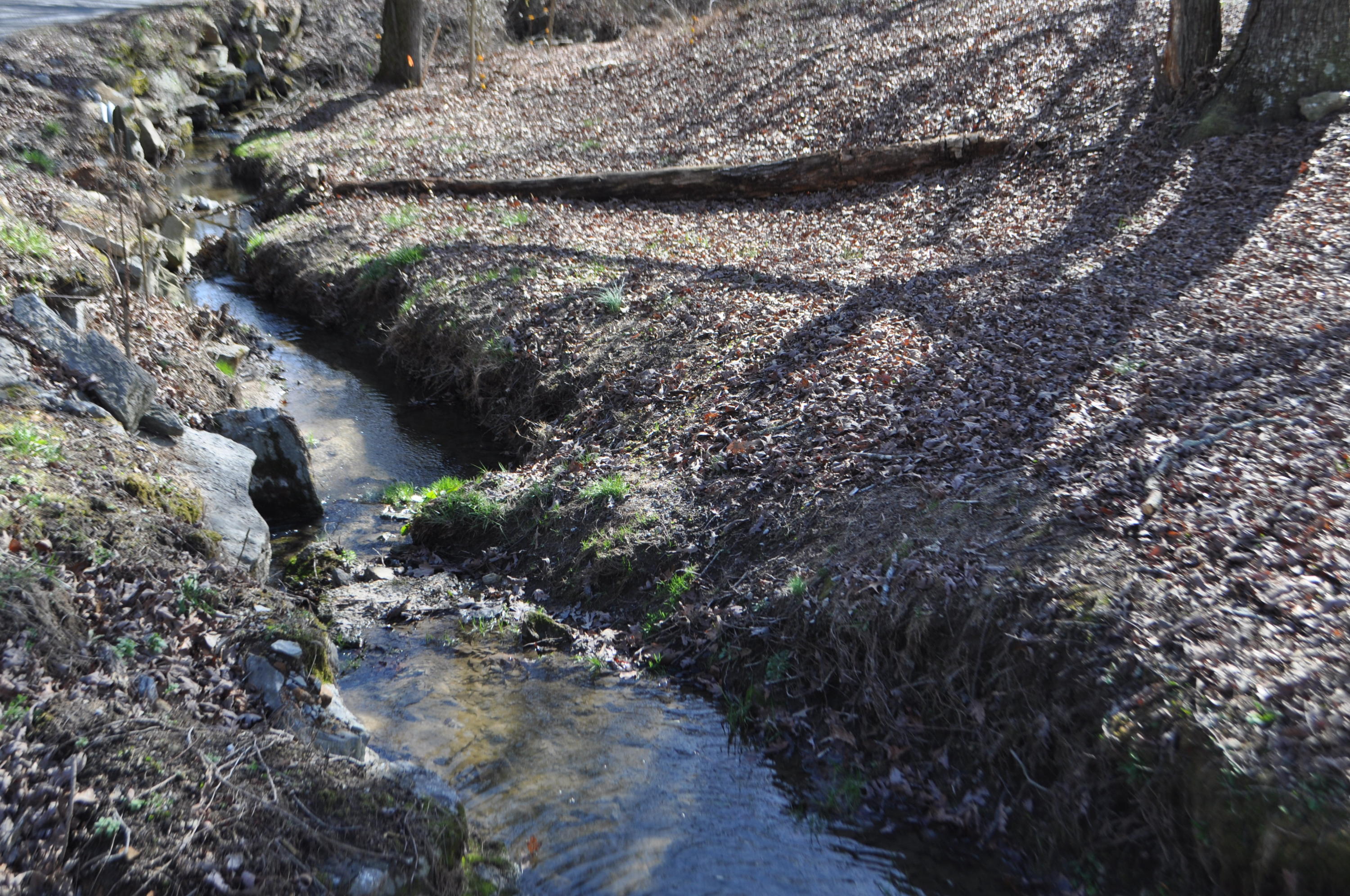 975 Blankenship Road Pikeville, TN 37367 - Photo 14 of 24 DSC_0029