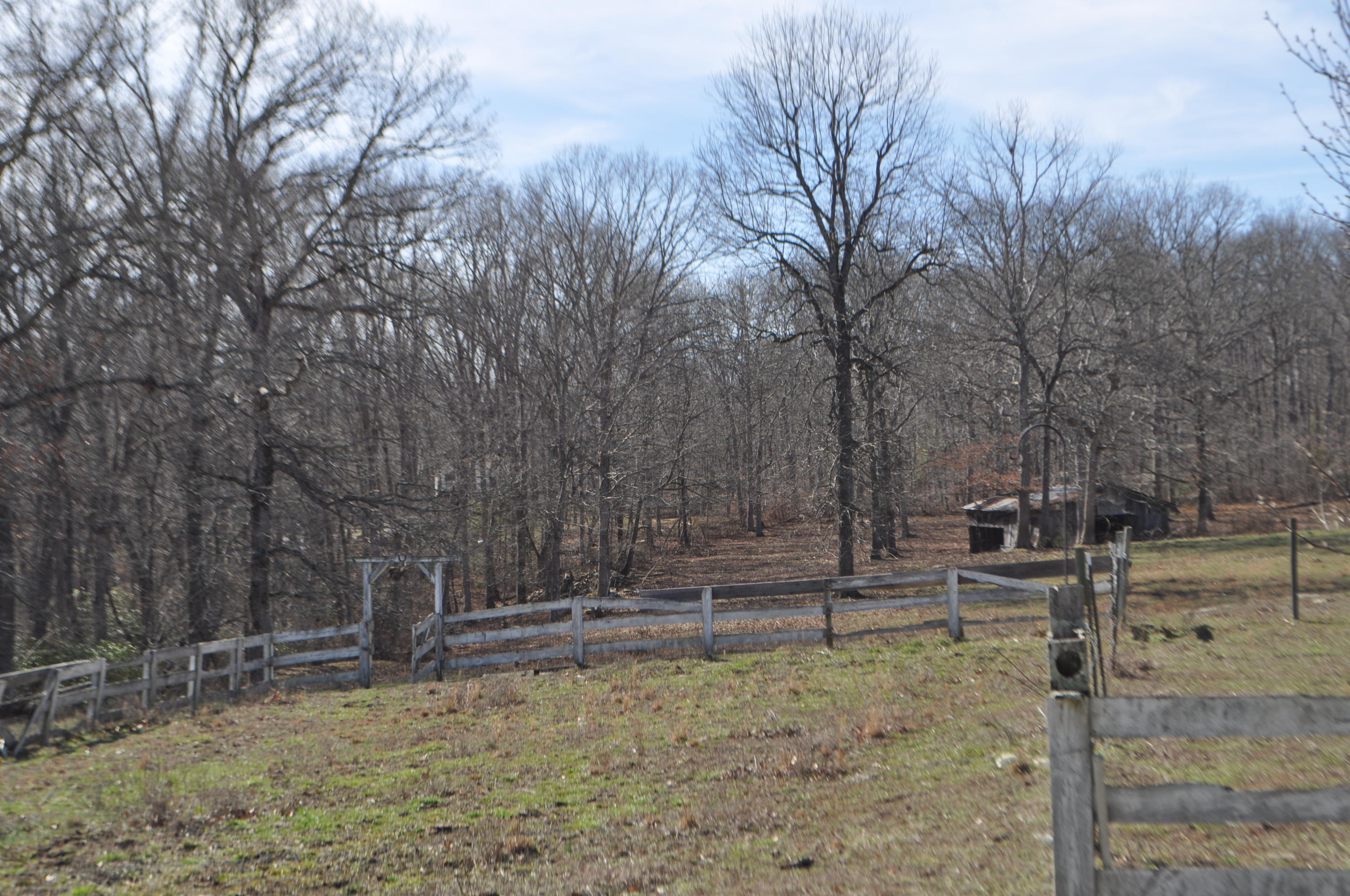 975 Blankenship Road Pikeville, TN 37367 - Photo 15 of 24 DSC_0023
