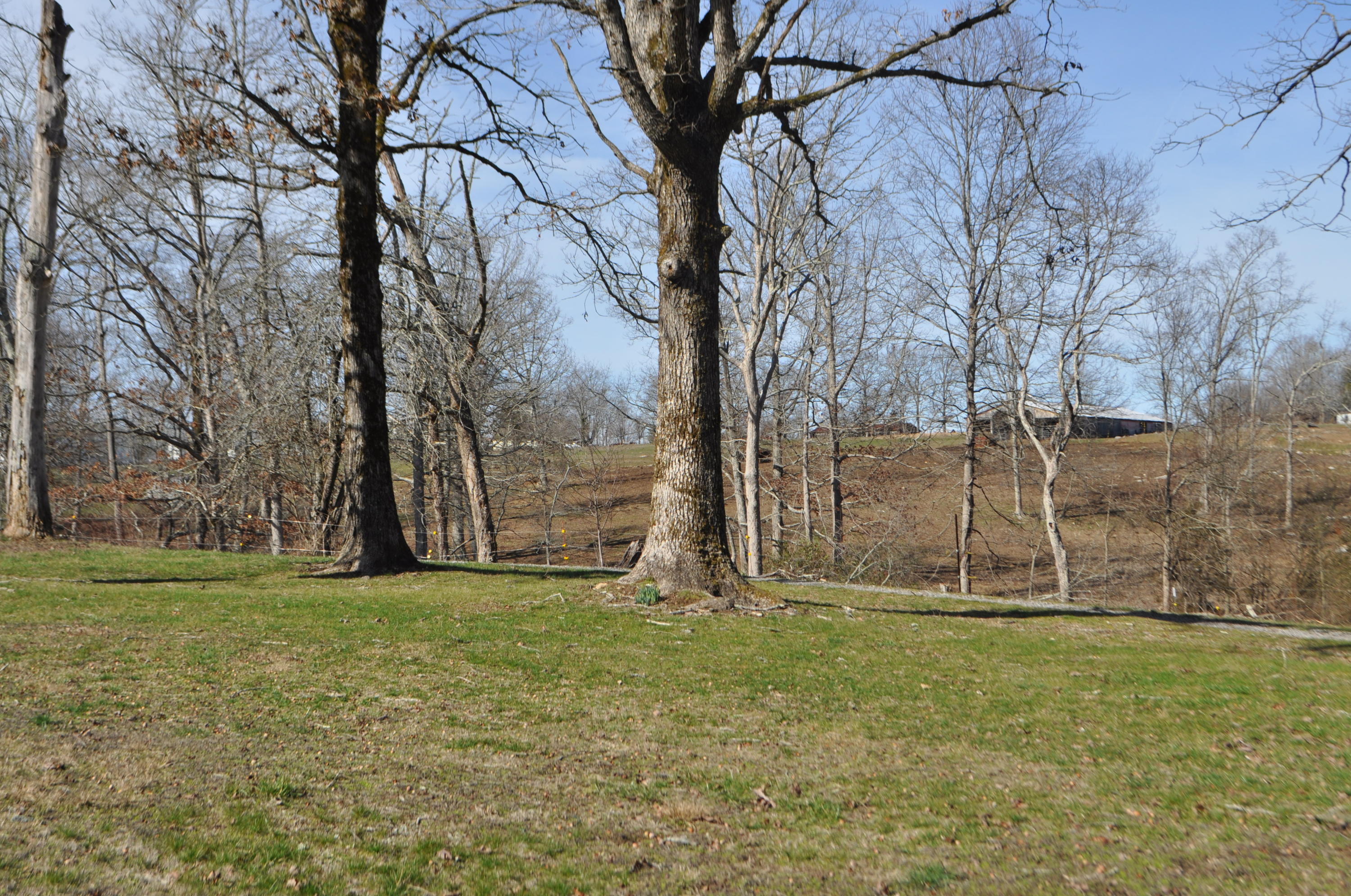 975 Blankenship Road Pikeville, TN 37367 - Photo 16 of 24 DSC_0026