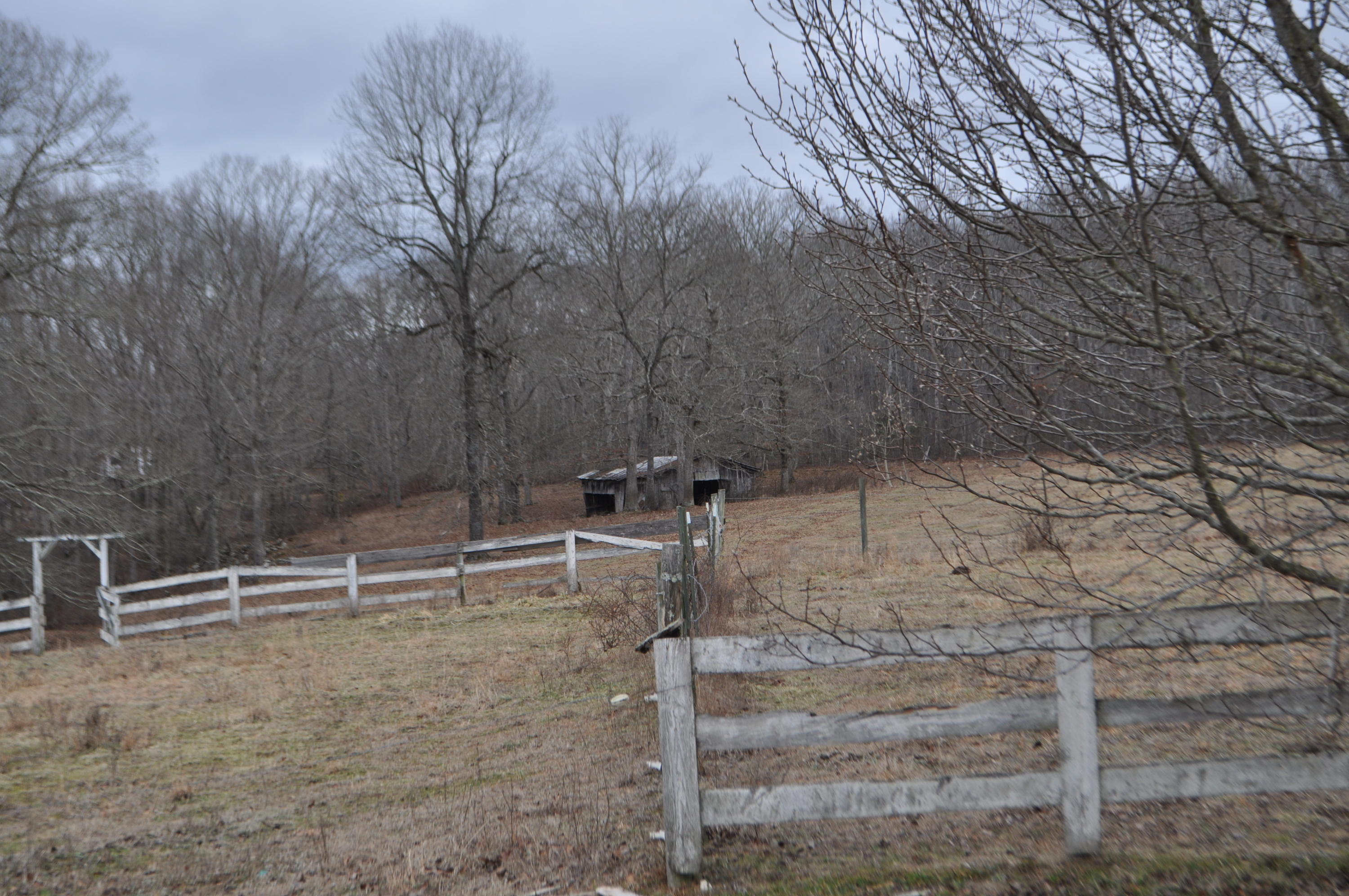 975 Blankenship Road Pikeville, TN 37367 - Photo 24 of 24 DSC_0581