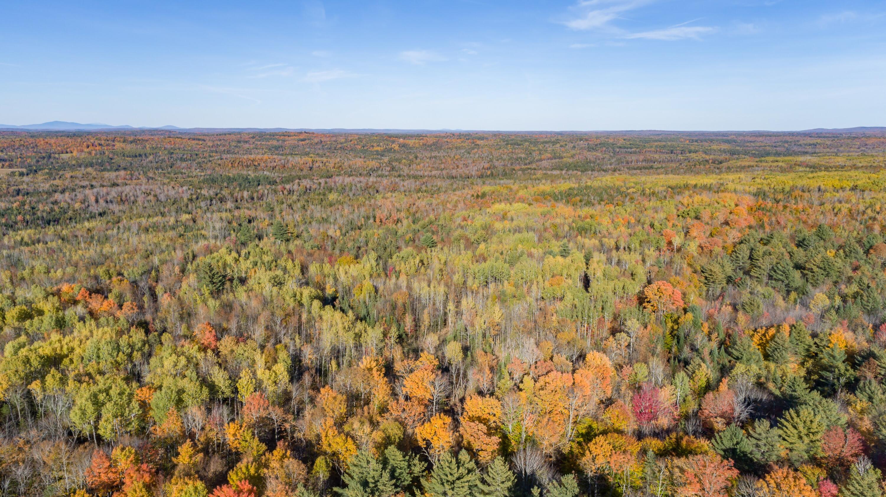 Lot 13 Lot Road Dexter, ME 04930 - Photo 8 of 9 DJI_0112