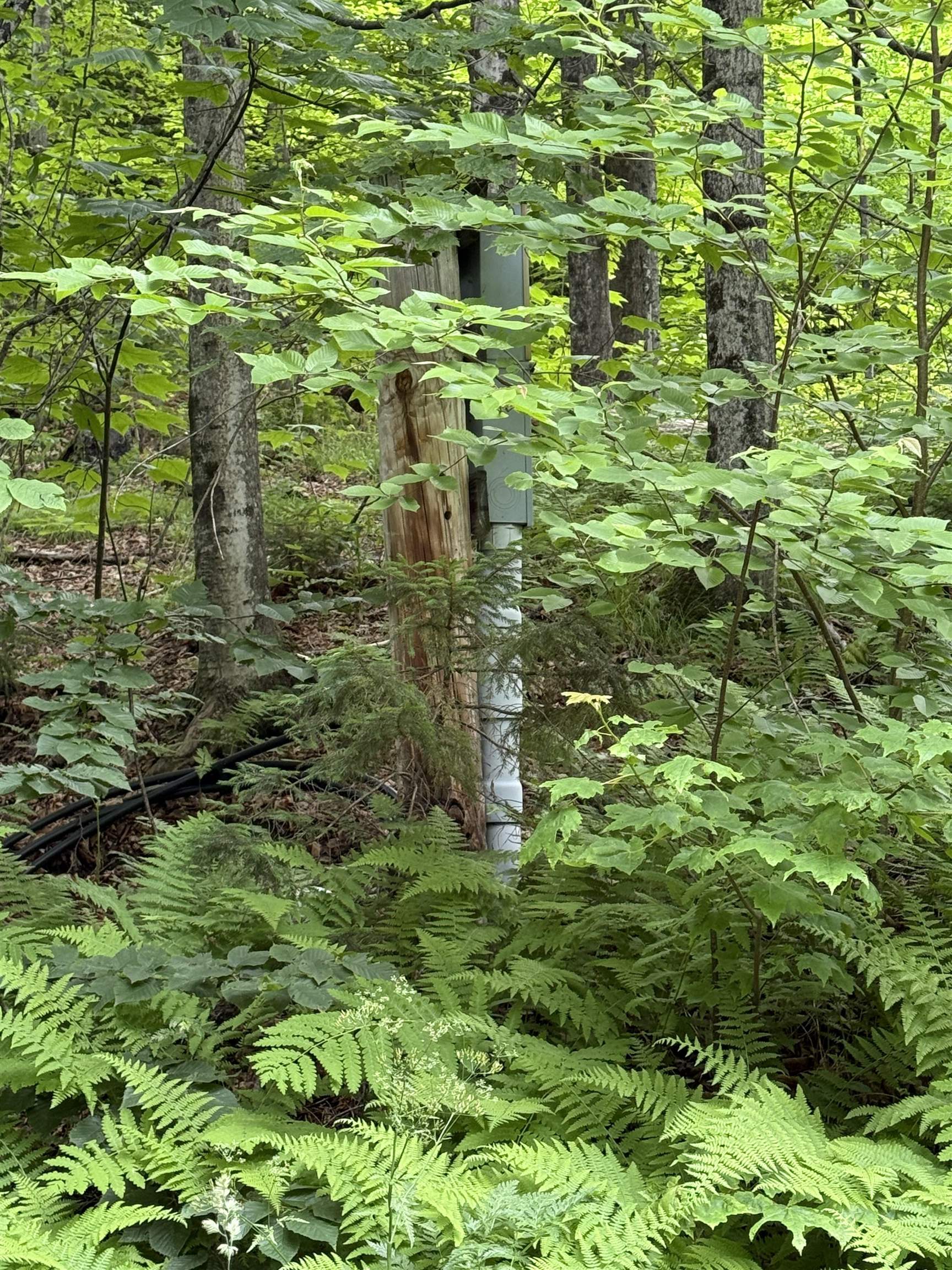 239 Small Road Randolph, VT 05060 - Photo 23 of 24