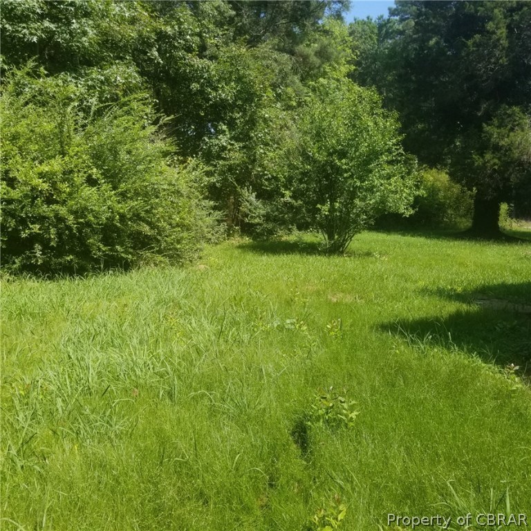 292 Blundon Road Reedville, VA 22539 - Photo 2 of 3