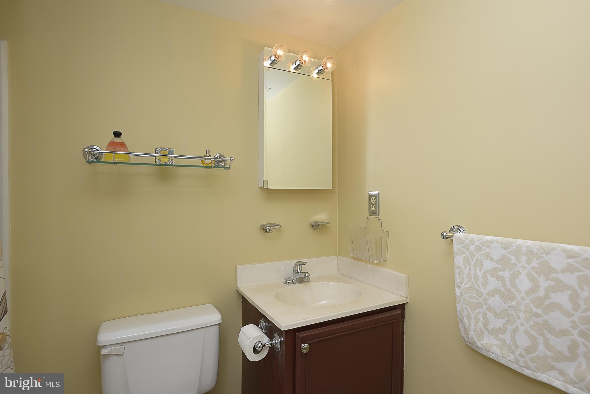 1001 Spring Gate Road, Unit 2B Baltimore, MD 21228 - Photo 19 of 27 Bath (Master)