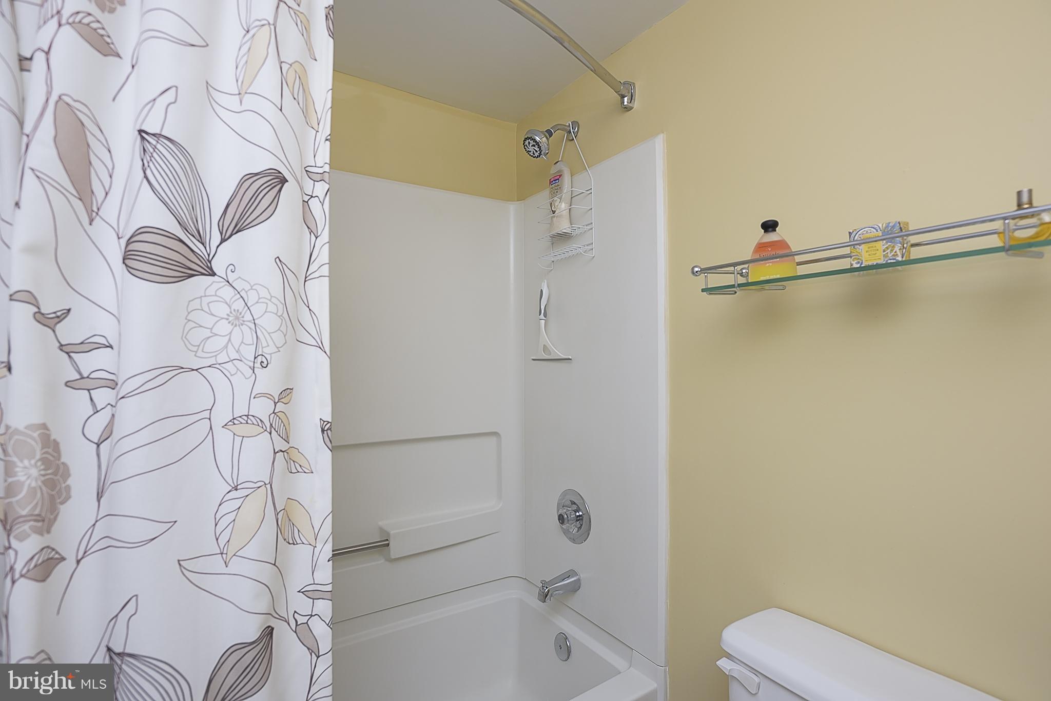 1001 Spring Gate Road, Unit 2B Baltimore, MD 21228 - Photo 20 of 27 Bath (Master)