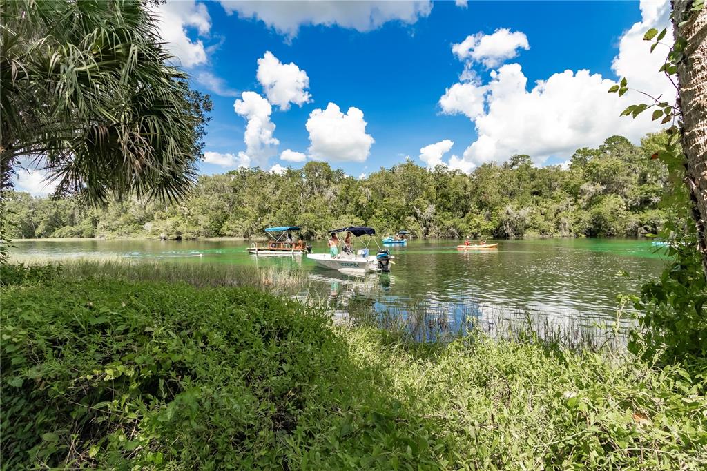 9726 Southwest 192nd Court Road Dunnellon, FL 34432 - Photo 67 of 82