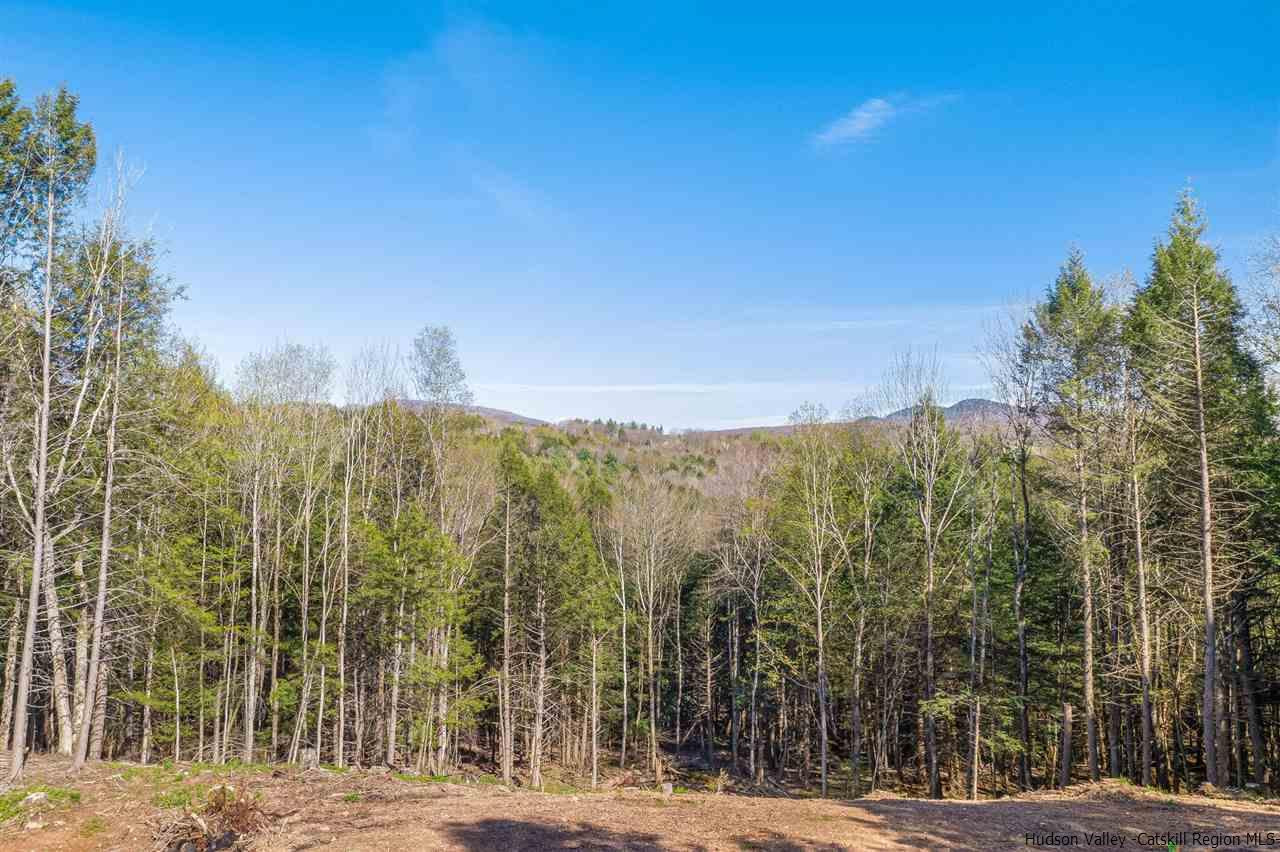 108 Begley Road Windham, NY 12496 - Photo 7 of 14 Photo 7