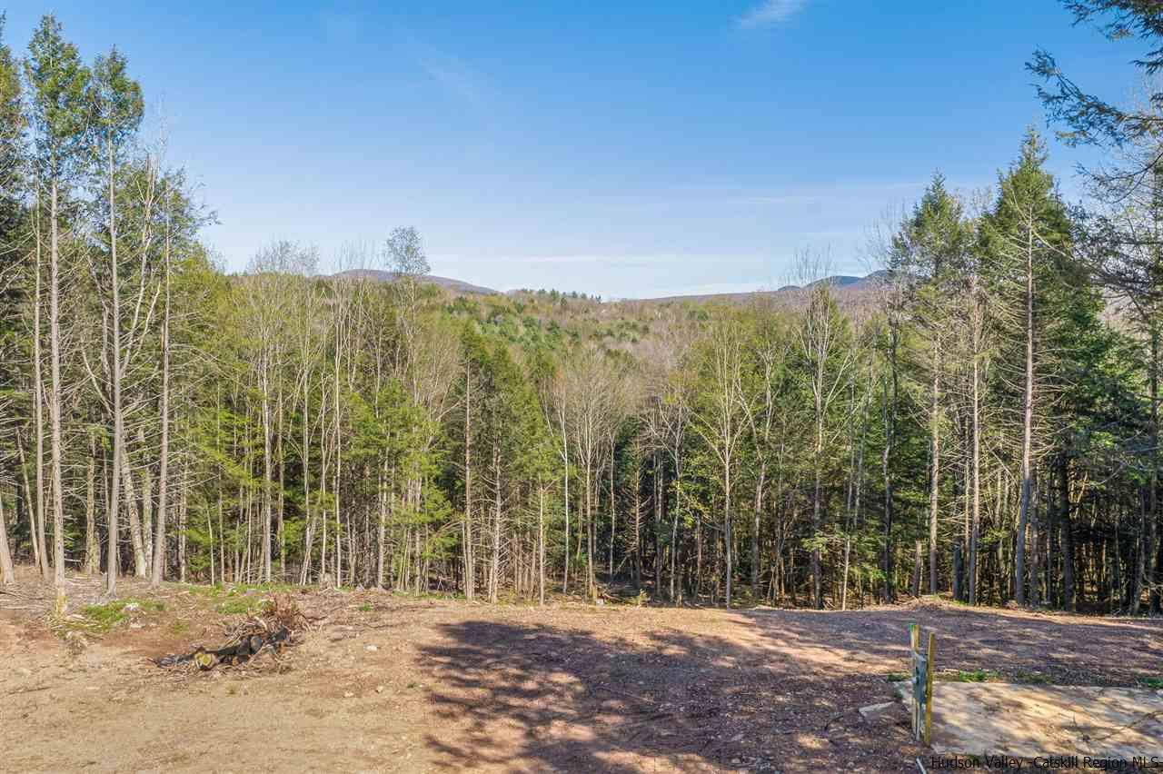 108 Begley Road Windham, NY 12496 - Photo 8 of 14 Photo 8