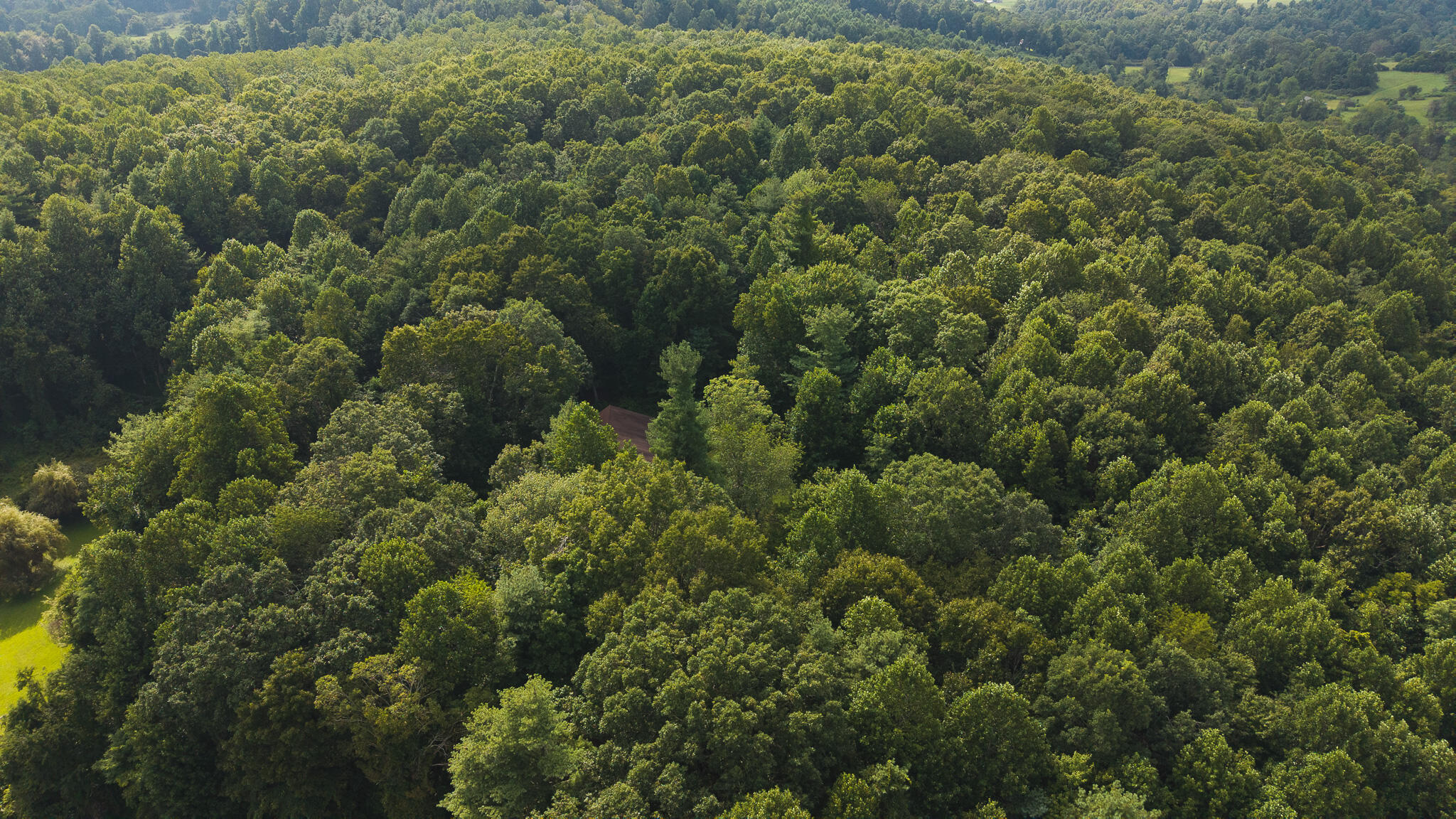788 Jacks Mill Road Southeast Copper Hill, VA 24079 - Photo 8 of 73 DJI_20250819162111_0063_D