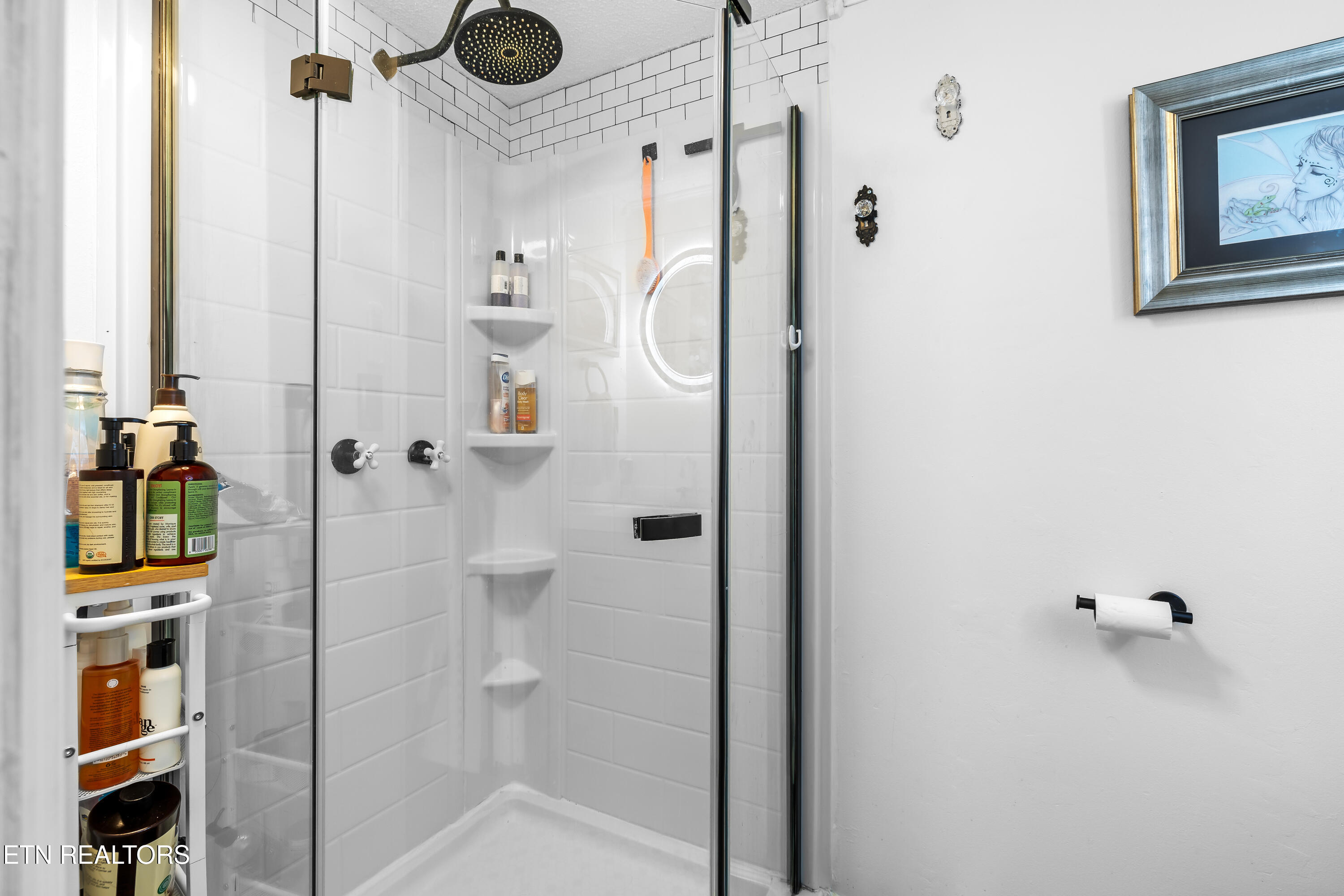 3881 Richardson Cove Road Sevierville, TN 37876 - Photo 25 of 43 3881RichardsonCoveRd-103