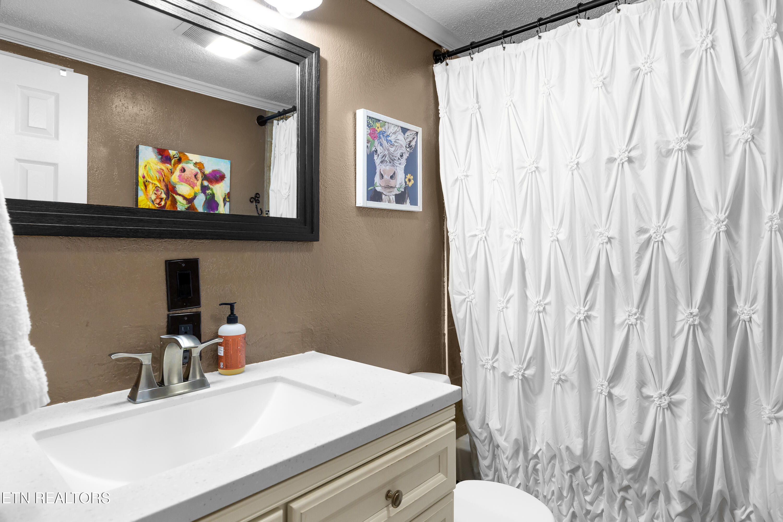 3881 Richardson Cove Road Sevierville, TN 37876 - Photo 28 of 43 3881RichardsonCoveRd-101