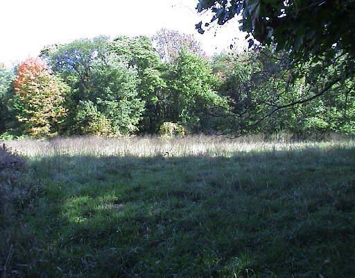 Lot 84 Pansy Road Fairfield, CT 06824 - Photo 1 of 1 a view of lake with green space