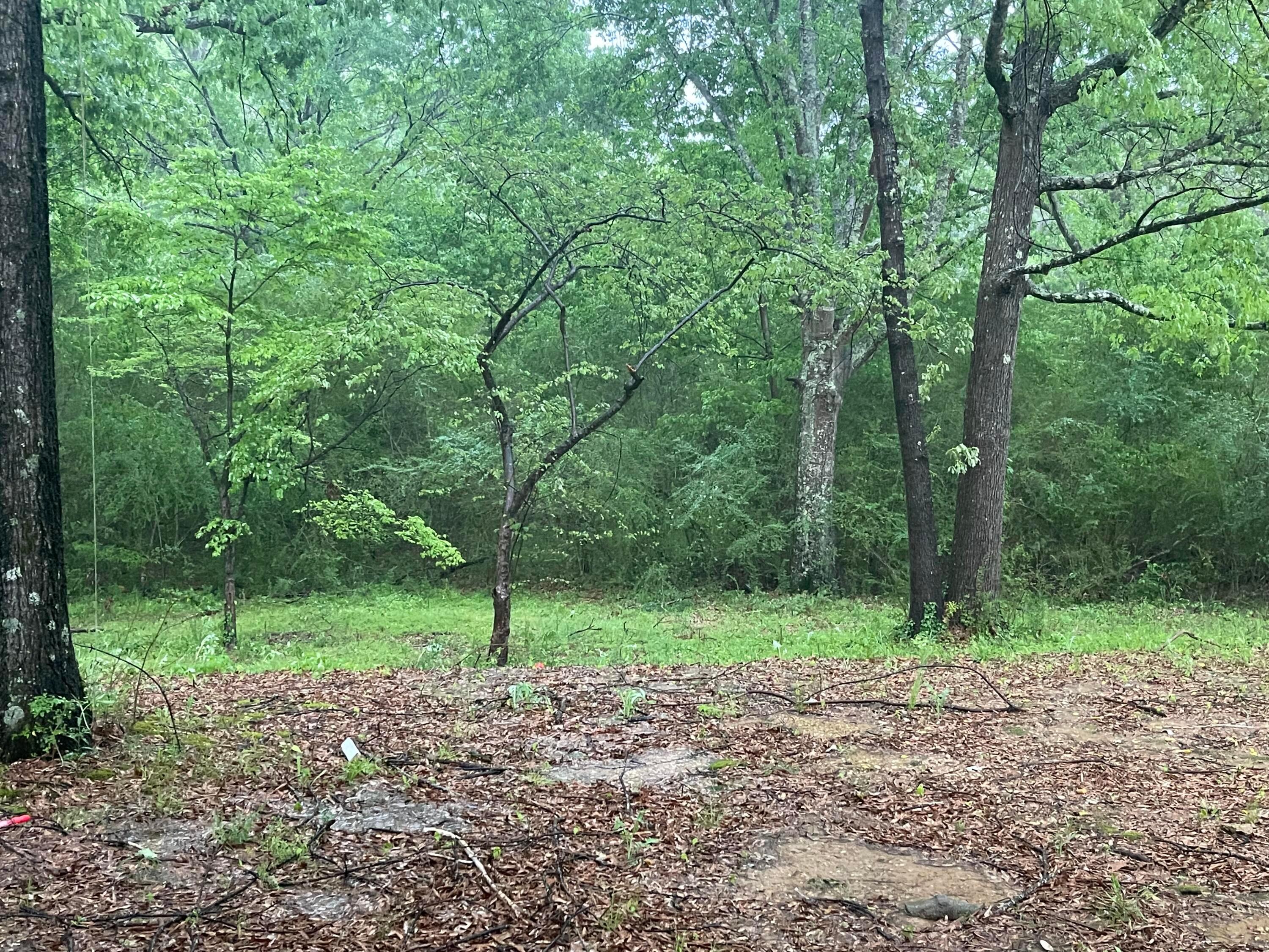 2650 Bobo Road Winfield, AL 35594 - Photo 29 of 32 Gallery Image 29