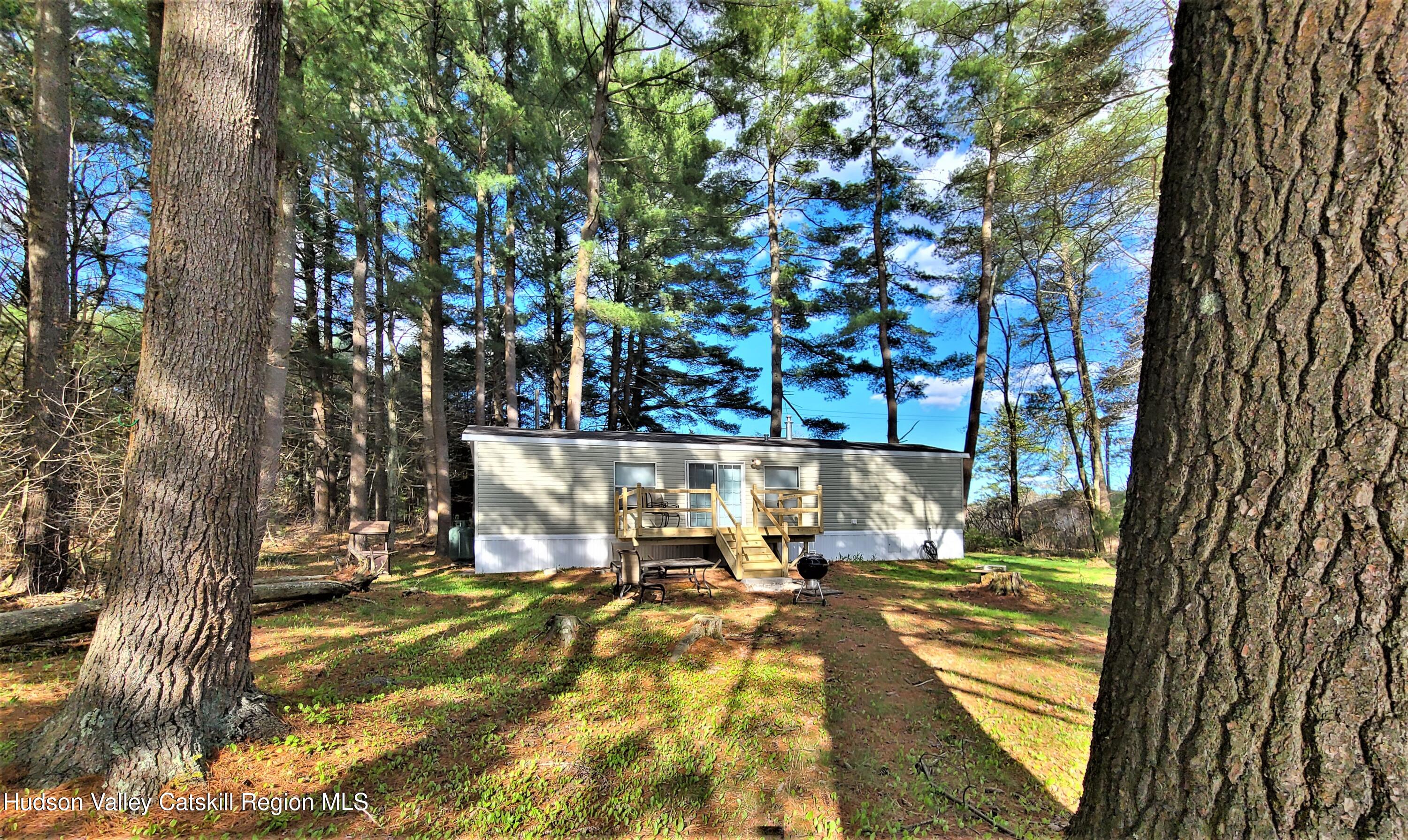 25 George Segar Road Bethel, NY 12783 - Photo 16 of 28 a view of yard along with trees