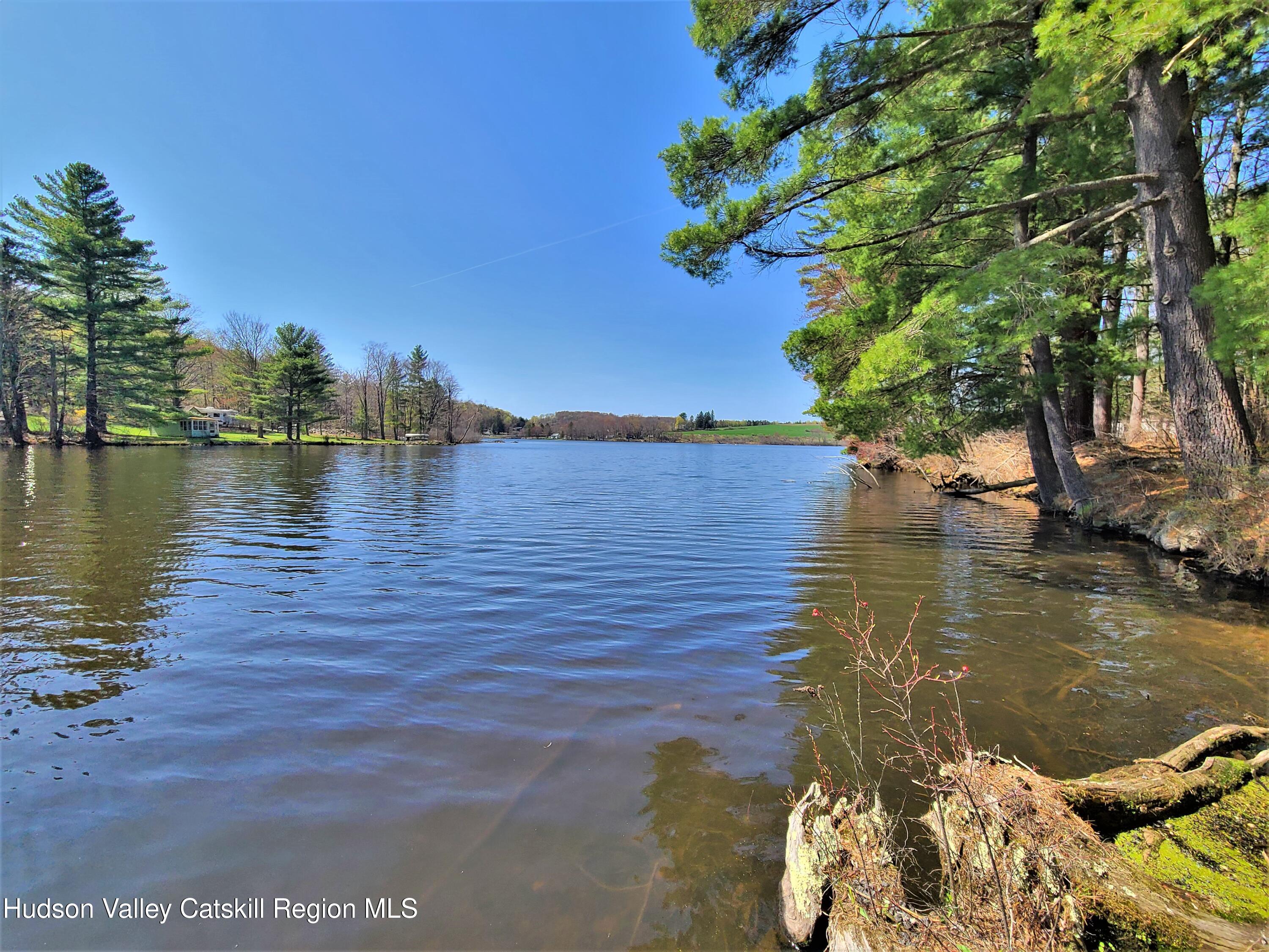 25 George Segar Road Bethel, NY 12783 - Photo 18 of 28 a view of a lake with houses