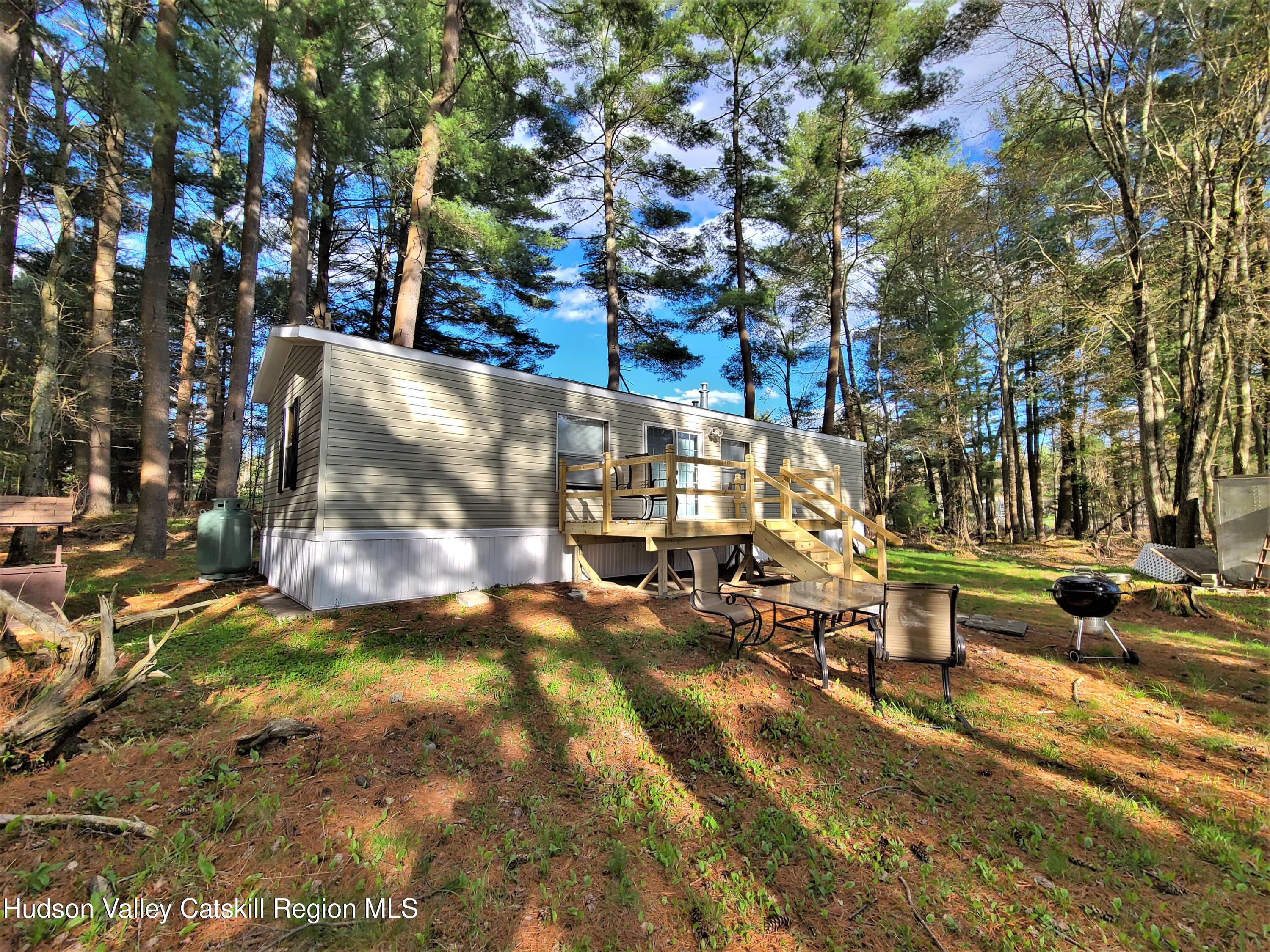 25 George Segar Road Bethel, NY 12783 - Photo 22 of 28 a view of yard with tree