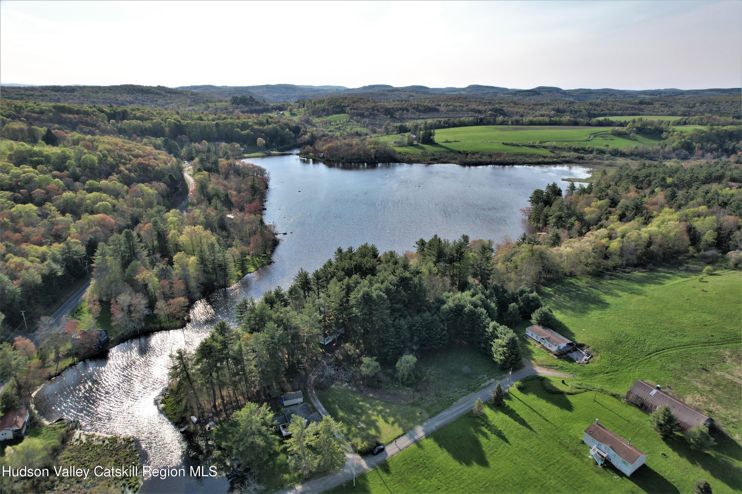25 George Segar Road Bethel, NY 12783 - Photo 25 of 28 an aerial view of green landscape with trees houses and mountain view