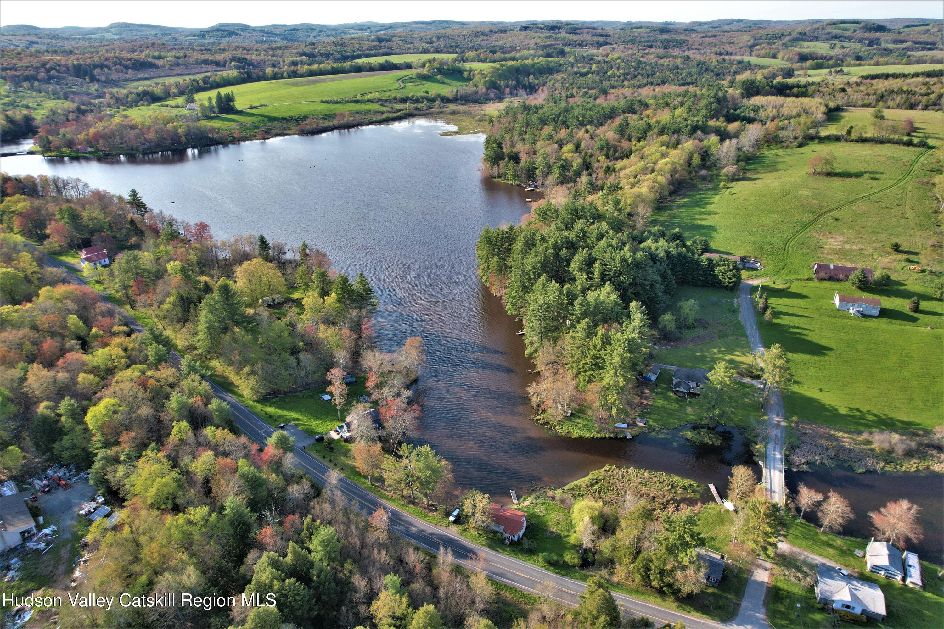 25 George Segar Road Bethel, NY 12783 - Photo 28 of 28 an aerial view of lake residential house with outdoor space and trees around
