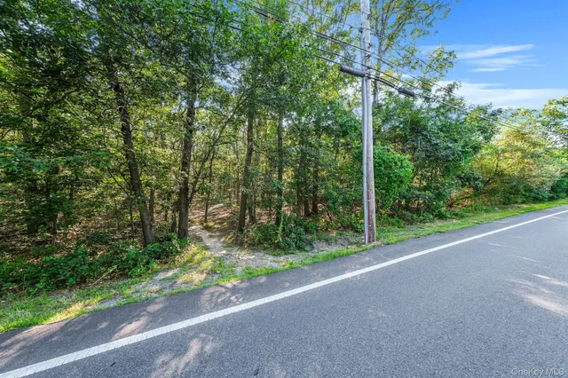 a view of a yard and basketball court