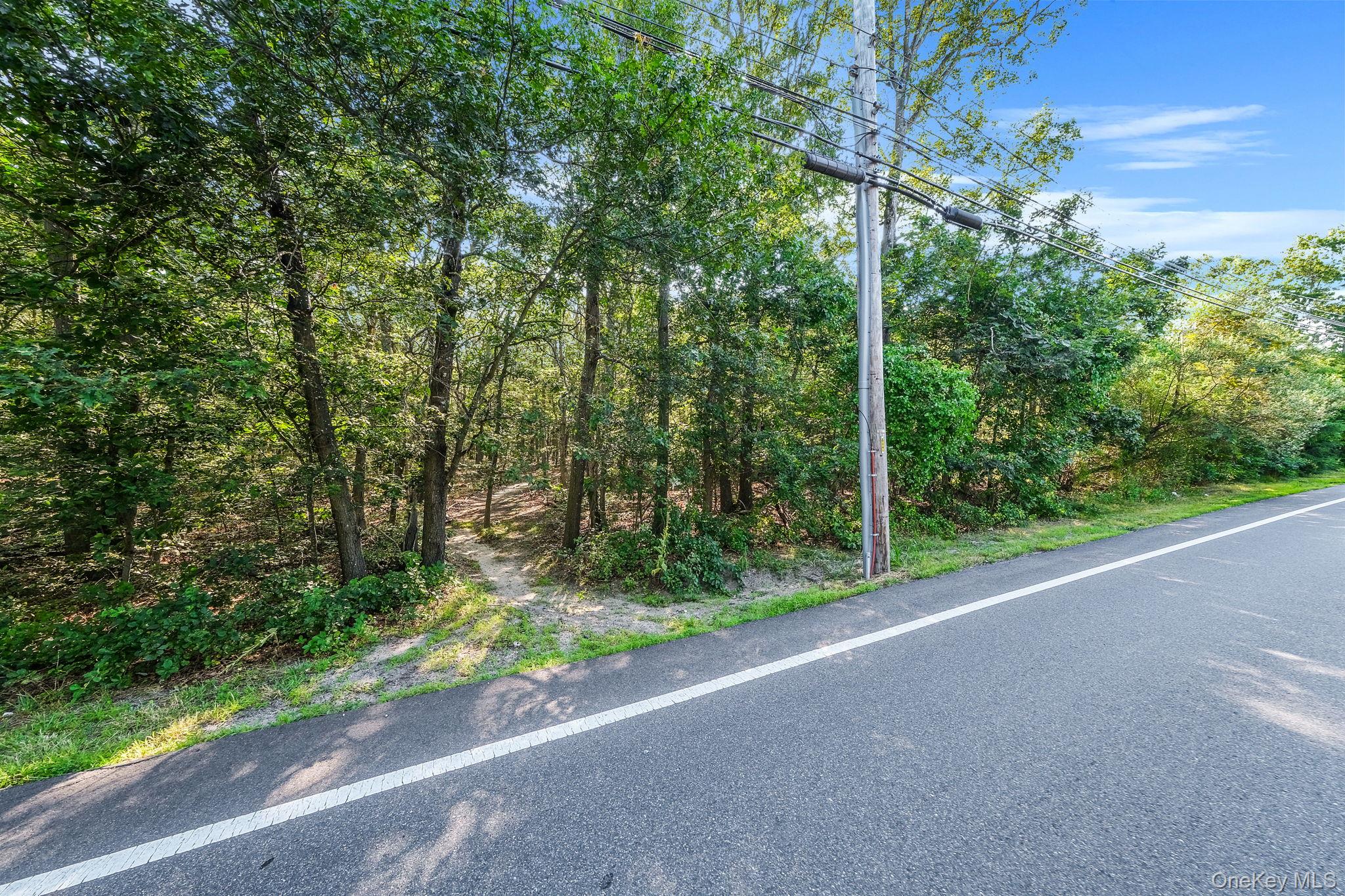 200 Wading River Road Manorville, NY 11949 - Photo 11 of 31 a view of a garden with plants and large trees
