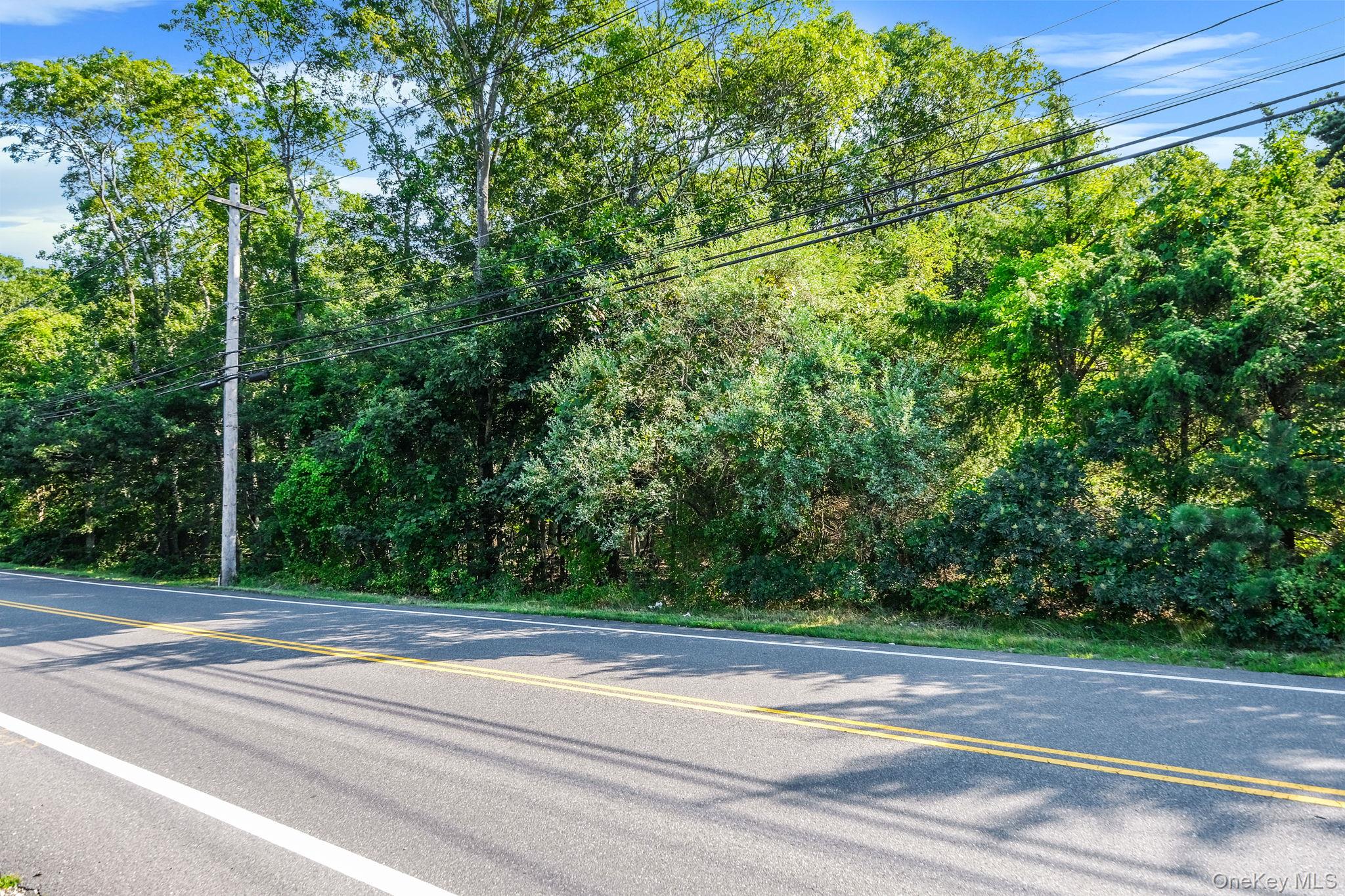 200 Wading River Road Manorville, NY 11949 - Photo 13 of 31 a view of a yard and basketball court