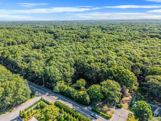 a view of a green field with lots of bushes
