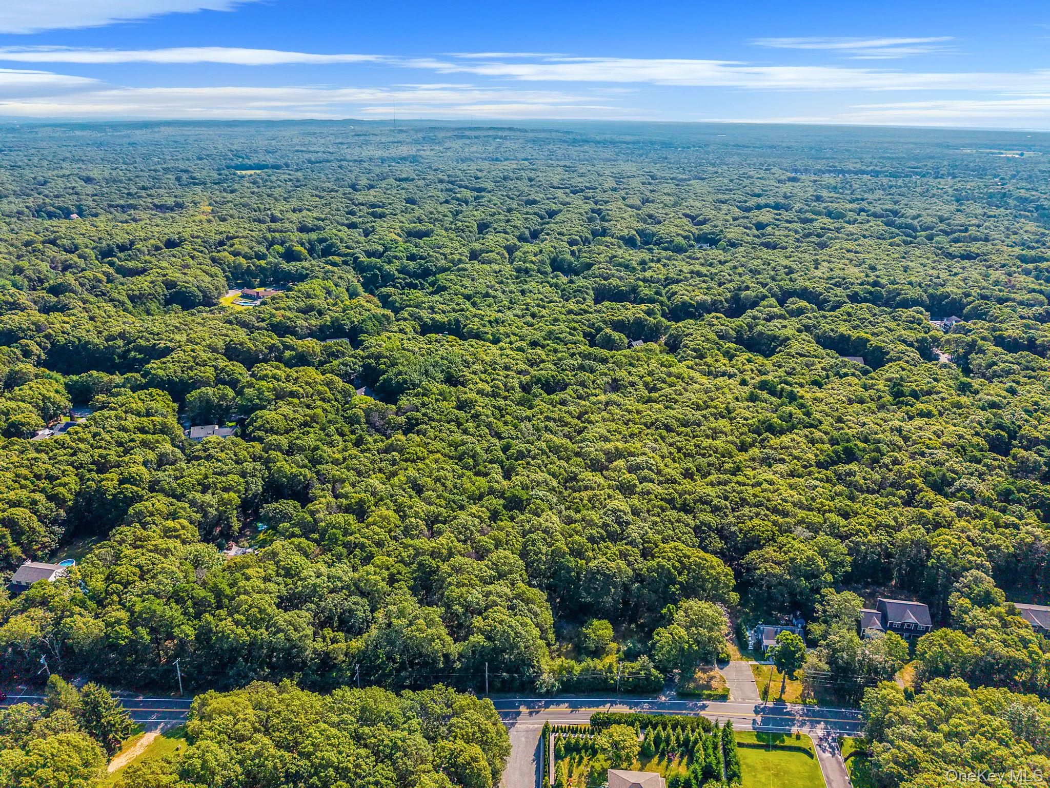 200 Wading River Road Manorville, NY 11949 - Photo 18 of 31 an aerial view of residential houses with outdoor space