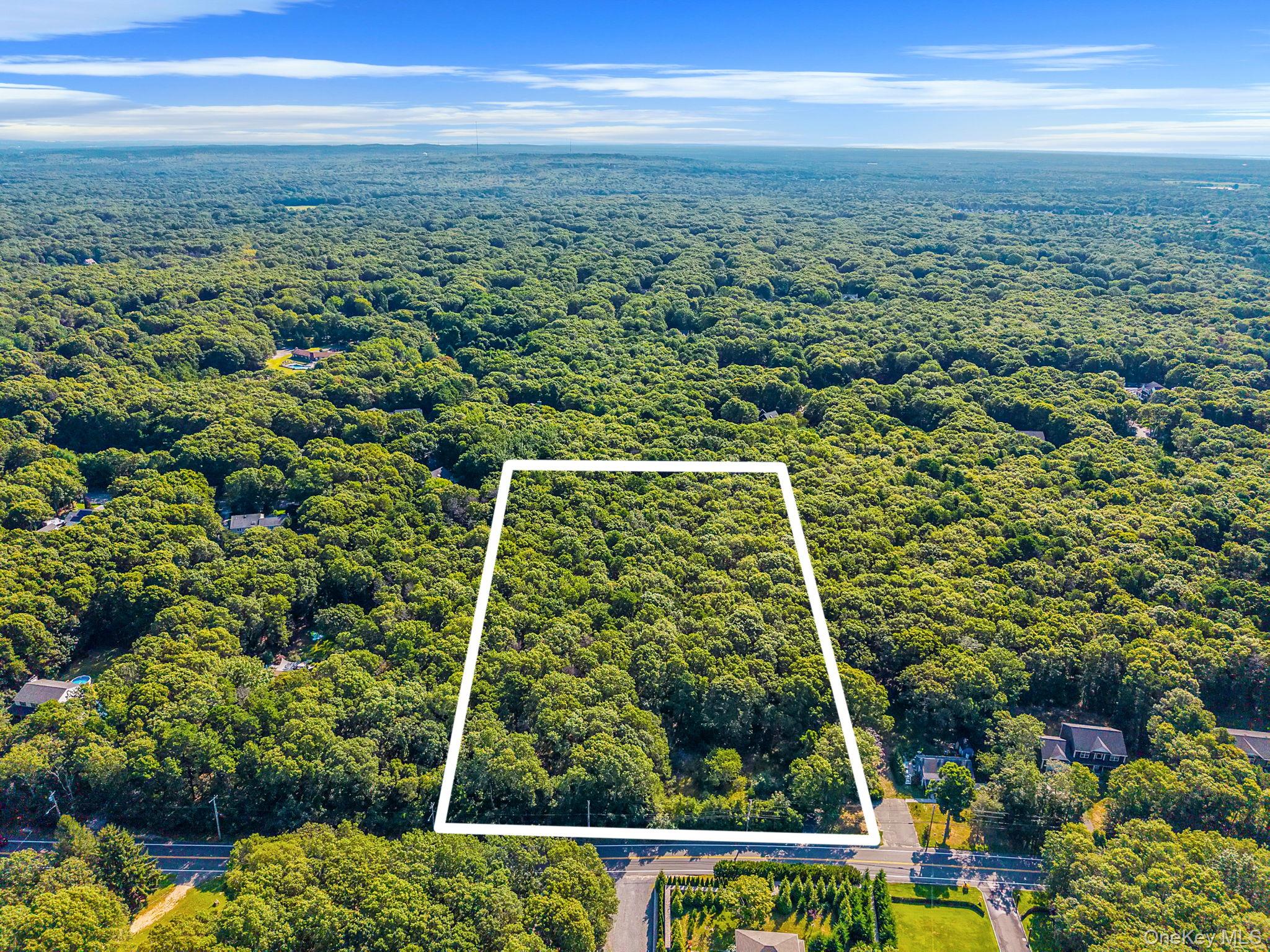 200 Wading River Road Manorville, NY 11949 - Photo 19 of 31 a view of a green field with lots of bushes